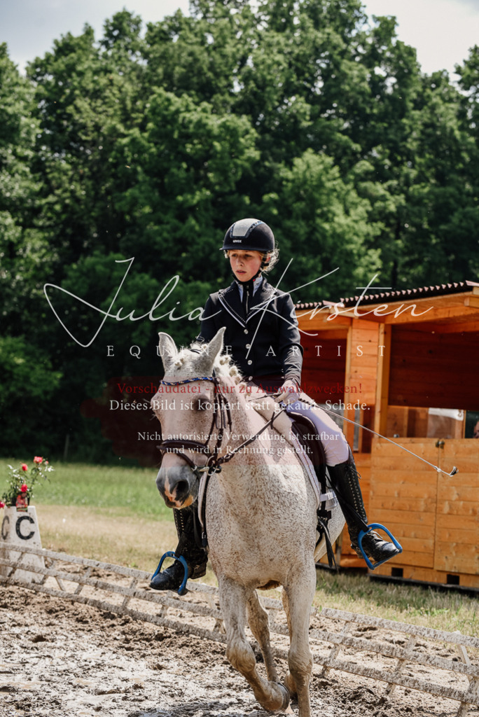 DSC_0512 | Pferde- und Turnierfotografie in Westsachsen. Pferdeportraits, Auftragszeichnungen und intuitive Kunst.