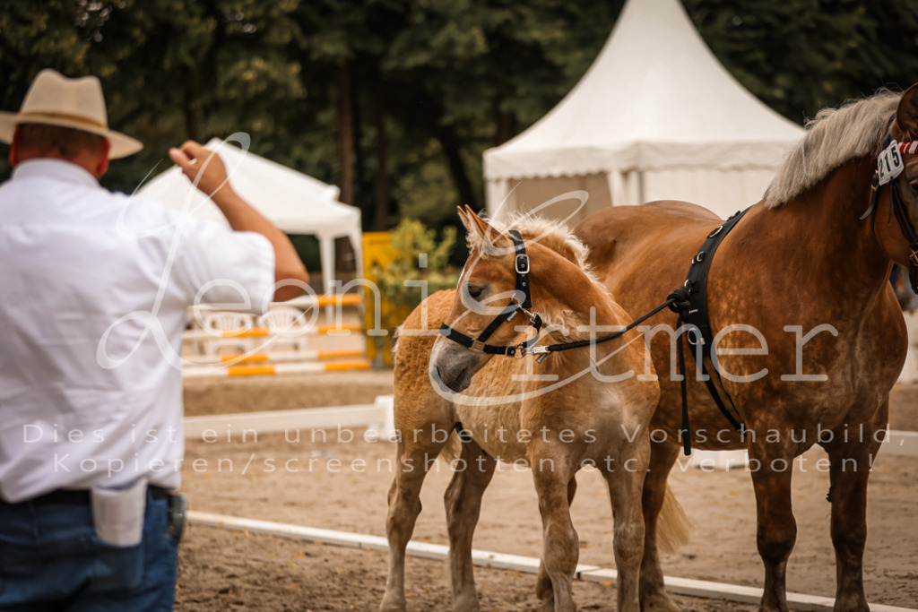 SaHF00123 | Leoni Ertmer Photography - Realisiert mit Pictrs.com