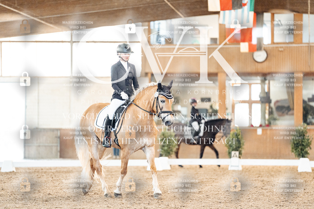CK907026 | Turnierfotografie Pferdefotografie Trier Rheinland-Pfalz Pferdesport Reitsport Tierfotografie Sportfotografie Pferdevideo Pferdevideografie Equestrianvideography equestrianphotography  - Realisiert mit Pictrs.com