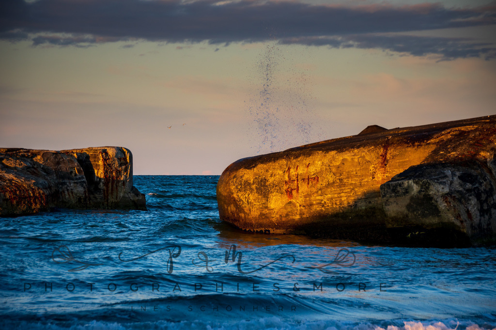 _Sommer2022-0728 | Photographies and more - Realisiert mit Pictrs.com