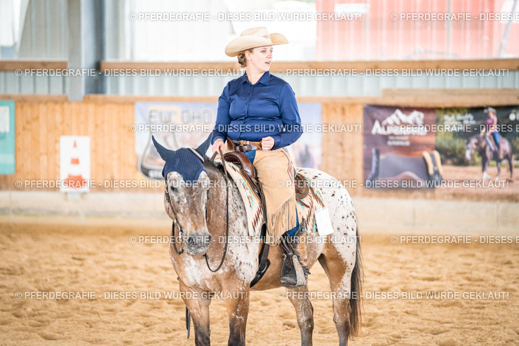 DSC01082 | Pferdegrafie