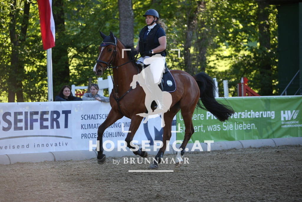 PP010664 | Willkommen bei Brunnmayr - Design & Fotografie – Ihrem Spezialisten für Reitturniere und Pferdeveranstaltungen in Oberösterreich, Salzburg und Bayern! Seit über 17 Jahren sind wir leidenschaftlich dabei.