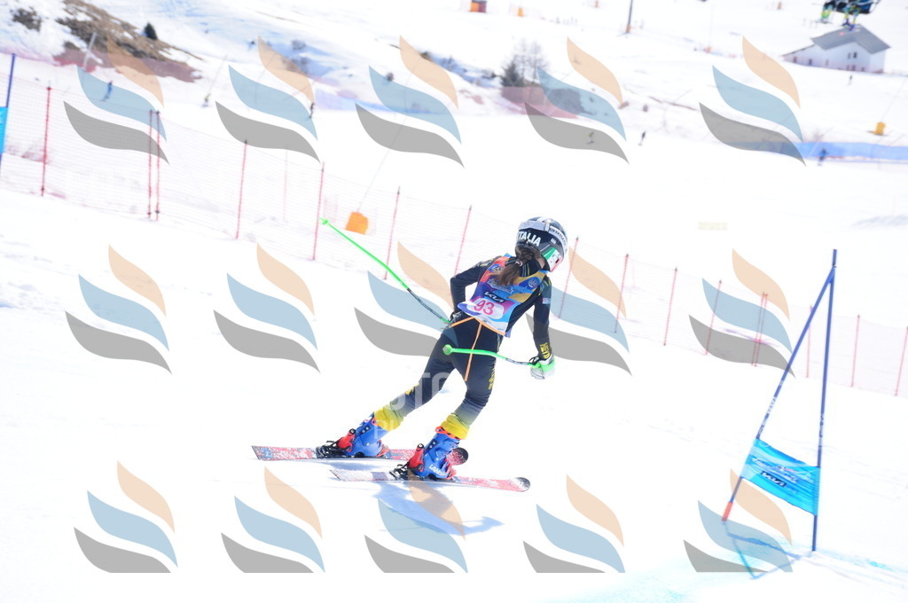 DSC_4673 | holidayphoto