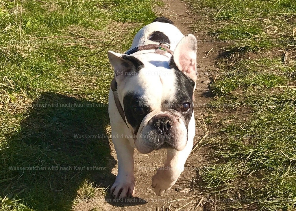 IMG_8827 | heikomoeller - Realisiert mit Pictrs.com