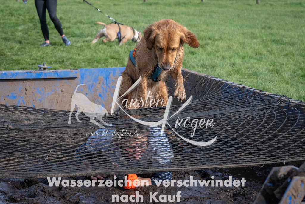 1609_ZZ91789 | kk-dogfotos