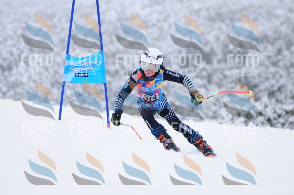 C3326 | holidayphoto