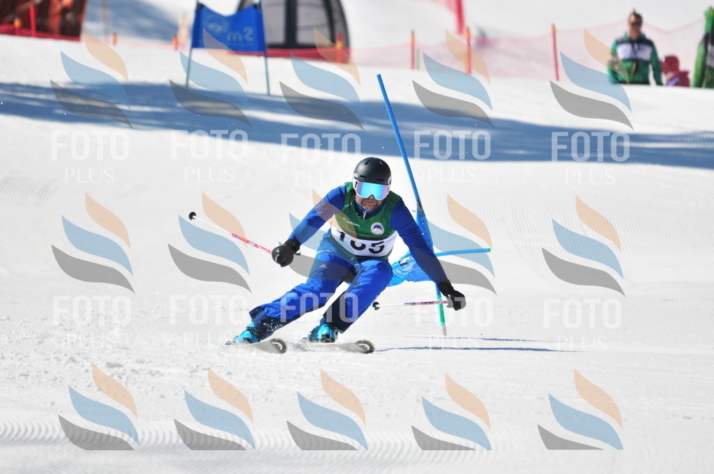 C4329 | holidayphoto