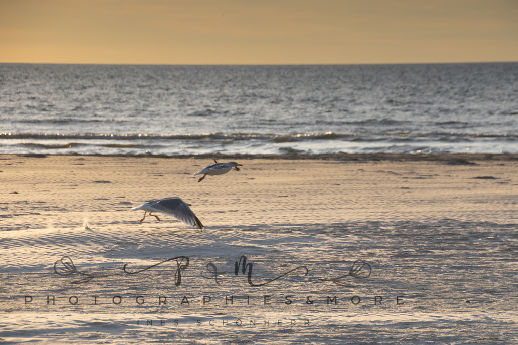 _WhiteStrand2022-1038 | Photographies and more - Realisiert mit Pictrs.com
