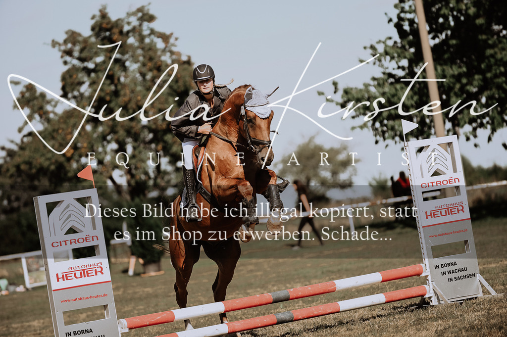 DSC_9286 | Pferde- und Turnierfotografie in Westsachsen. Pferdeportraits, Auftragszeichnungen und intuitive Kunst.