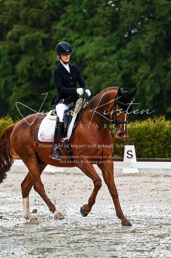 DSC_4256 | Pferde- und Turnierfotografie in Westsachsen. Pferdeportraits, Auftragszeichnungen und intuitive Kunst.