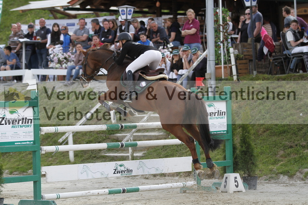 _MG_7648 | equestrian-live-com