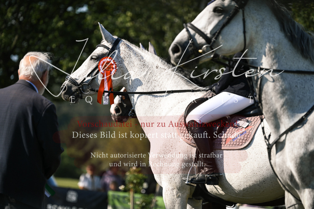 DSC_1542 | Pferde- und Turnierfotografie in Westsachsen. Pferdeportraits, Auftragszeichnungen und intuitive Kunst.