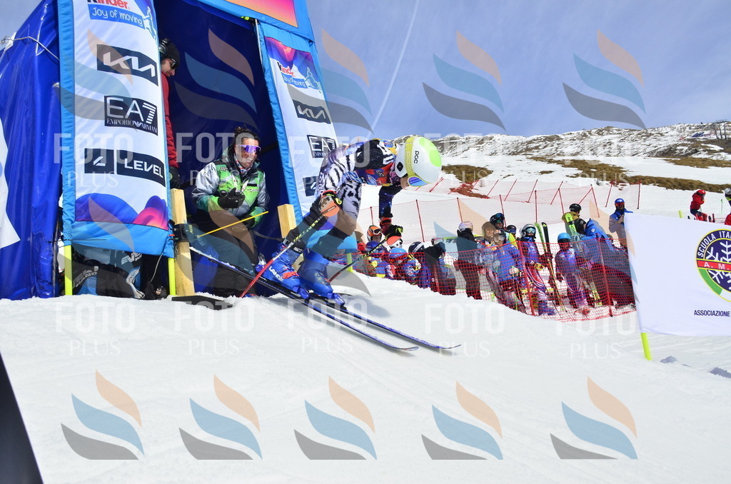 _ELE1544 | holidayphoto