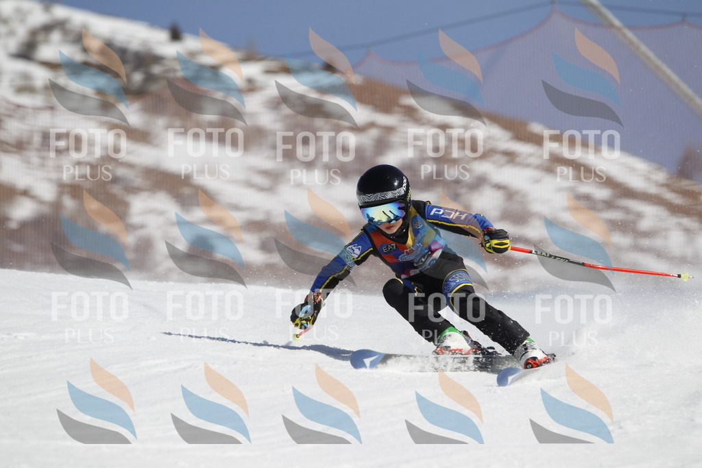 _U3G9581 | holidayphoto