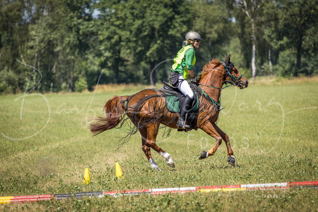 CJP_2026-06-26_20 | Stimmungsvolle Fotografie von Pferden, fotografische Begleitung von Veranstaltungen, Golfturnieren und Distanzritten - Realisiert mit Pictrs.com