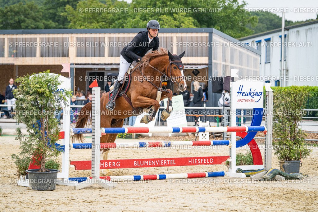 DSC00666 | Pferdegrafie