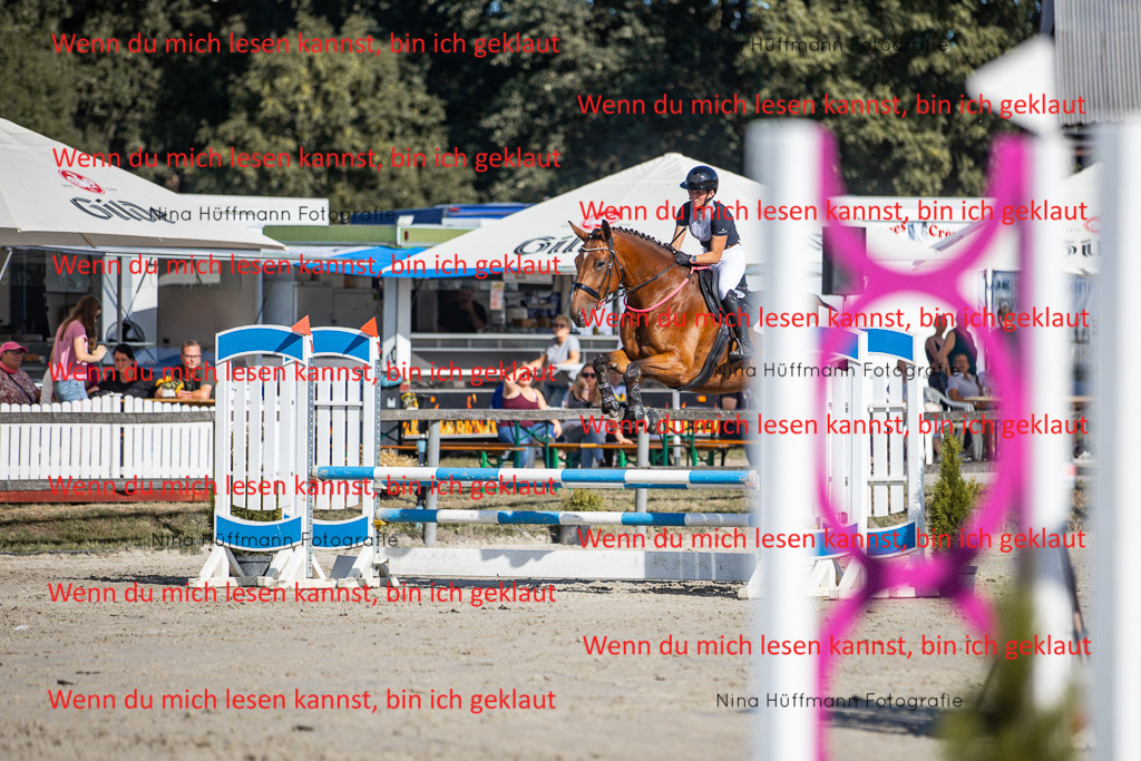 BK1A7332 | Turnierbilder Turnierfotos Nina Hüffmann Turnierfotografie Pferdefotografie Tierzeichnung Haustierzeichnung Pferdezeichnung Hundezeichnung Videograf  - Realisiert mit Pictrs.com