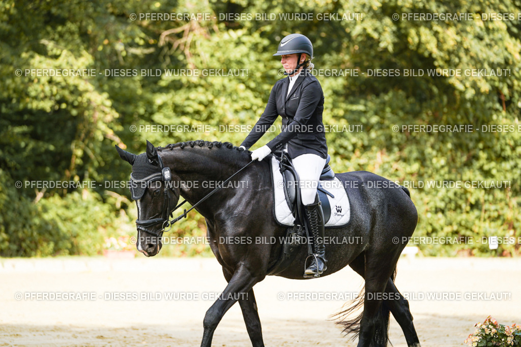 DSC02299 | Pferdegrafie