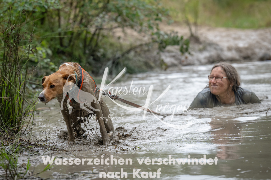 1331_ZZ90367 | kk-dogfotos