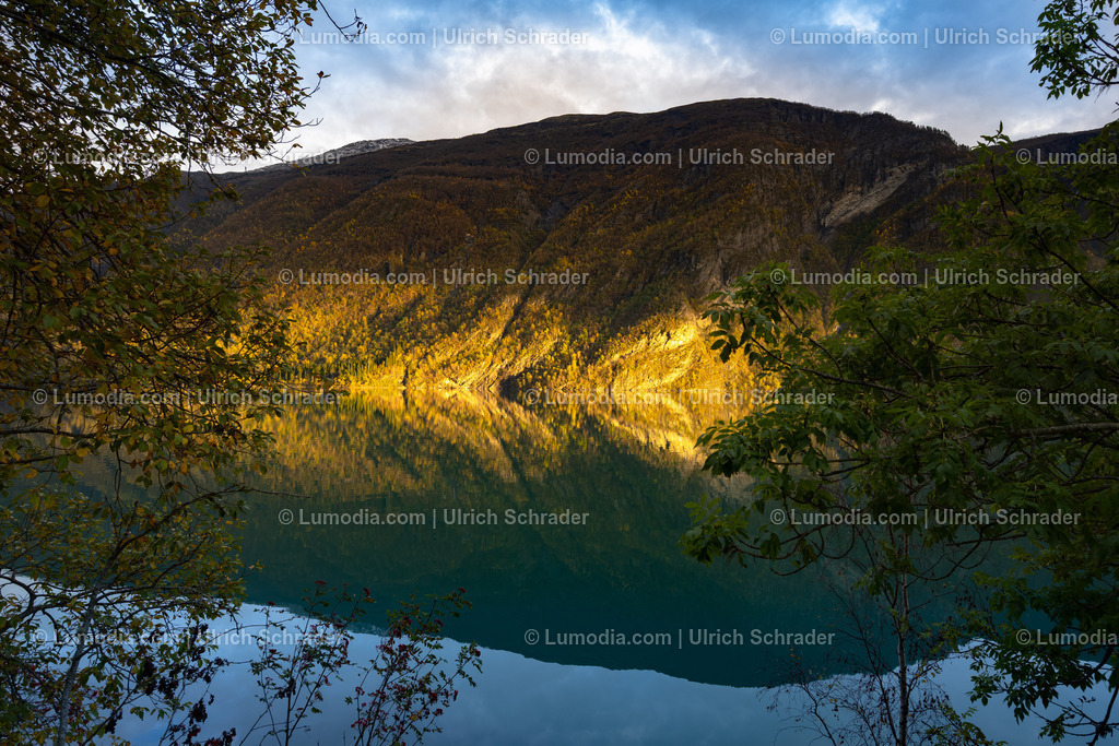 10047-10072 - Am Sognefjell - Norwegen | Stockfoto und Bilderpool mit Bildmaterial aus Deutschland, dem Harz, Halberstadt, Quedlinburg, Wernigerode und weltweit. Qualitativ hochwertige und professionelle Fotos anschauen und kaufen. - Realisiert mit Pictrs.com