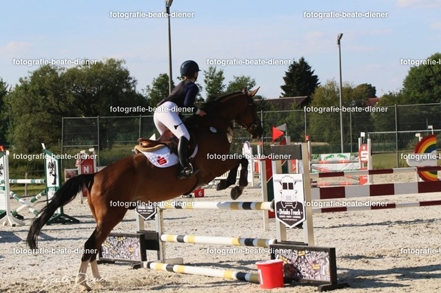 OHT 2022 Röhlingen (100) | Fotografie, Tiere, Hunde, Katzen, Pferde, Sportfotografie, Fotosession, Tierfotografie, Turnierfotografie, Fotografin, Fotograf - Realisiert mit Pictrs.com