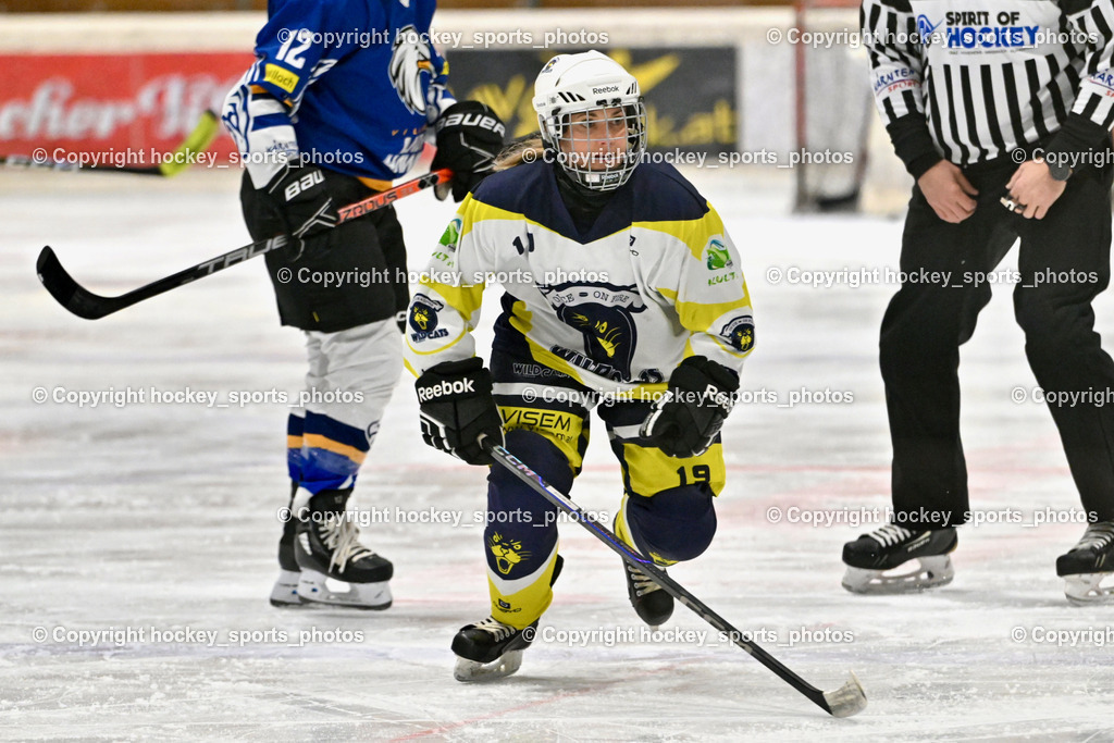 Wildcats Paternion vs. Lady Hawks  | #19 Knes Julia WILDCATS PATERNION, Wildcats Paternion vs. Lady Hawks , Wildcats Paternion vs. Lady Hawks  am 27.01.2025 in Spittal an der Drau (Eissportzentrum Spittal), Austria, (Photo by Bernd Stefan)