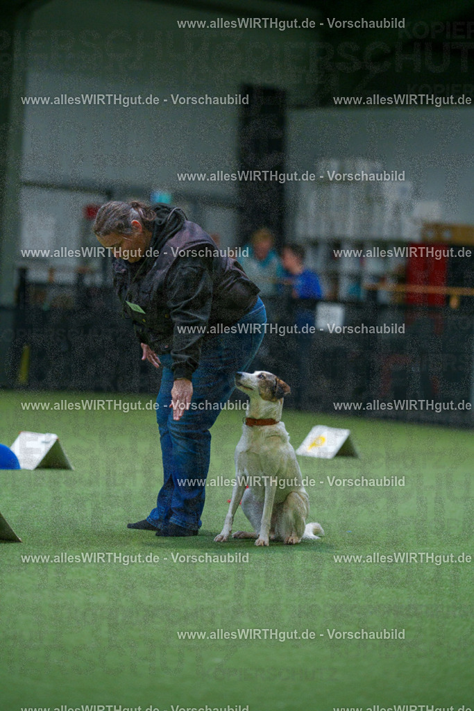 7R503351 | Professionelle Tierfotografie in Mönchengladbach von Daniel Wirth (allesWIRTHgut). Liebevolle & natürliche Bilder von Hunden & Katzen für unvergessliche Erinnerungen.