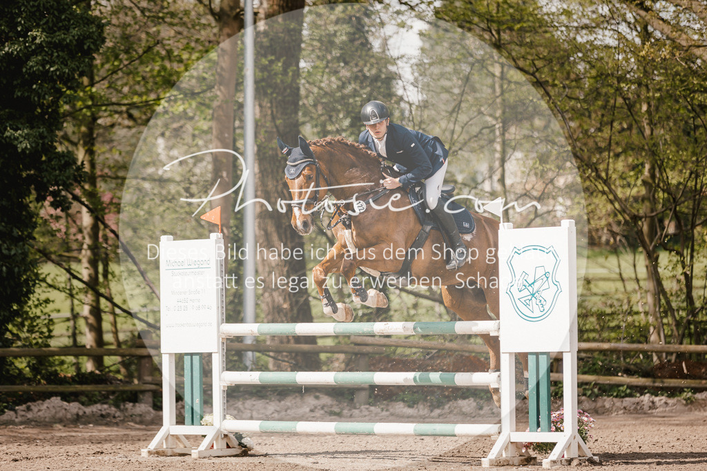 3I6A4304 | Stimmungsvolle Portraits und Reitsportfotografie im Ruhrgebiet und im Münsterland.

Pferdefotografie, Hundefotografie, Tierfotografie, Reportagen, Portraits von Tier und Mensch, Turnierfotografie in Bochum, Recklinghausen, Marl, Haltern am See, Dülmen.. - Realisiert mit Pictrs.com