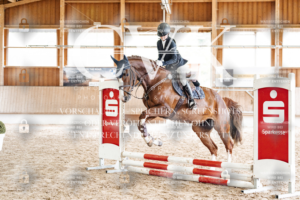 CK902592 | Turnierfotografie Pferdefotografie Trier Rheinland-Pfalz Pferdesport Reitsport Tierfotografie Sportfotografie Pferdevideo Pferdevideografie Equestrianvideography equestrianphotography  - Realized with Pictrs.com