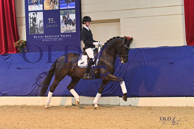 102 St. Emilion v. Suarez Dante Weltino - Rubinstein I DSC_5542 | <meta name="description" content="★Offizieller Merchandise und Foto-/Videostore des Oldenburger Verbandes.★ ✅Jetzt auch digital Ausdrucke erhältlich." />
<meta name="keywords" content="Merchandise Foto-/Videostore Oldenburger Verband Photographie 