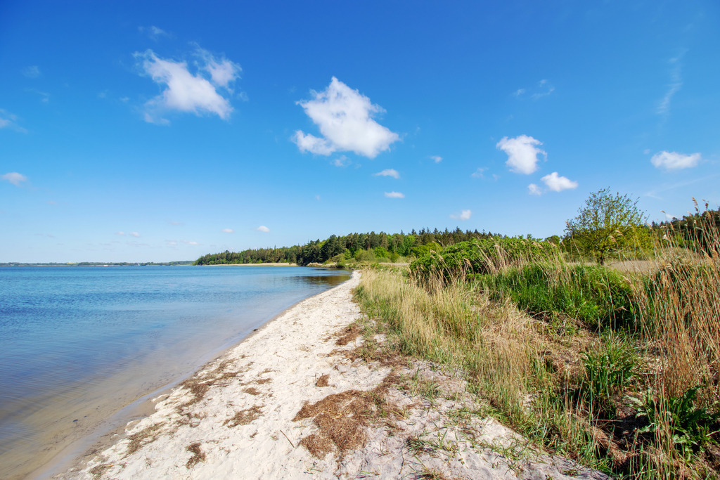 Leinwandbild Sommertag am Ostseefjord – Verstecktes Strandparadies | Entdecken Sie die stille Schönheit der Nordküste: Diese Leinwand zeigt einen idyllischen, naturbelassenen Sandstrand an einem Ostseefjord. Das tiefblaue, ruhige Wasser trifft auf hellen Sand und saftig grüne Uferwiesen, gesäumt von einem dichten Küstenwald unter strahlend blauem Himmel. Ein Bild, das Weite und Geborgenheit zugleich ausstrahlt und die friedliche Atmosphäre abseits der großen Touristenströme perfekt einfängt. Bringen Sie mit diesem maritimen Naturmotiv ein Stück unberührte Urlaubsstimmung und nordische Frische in Ihre Wohnräume. - Realisiert mit Pictrs.com
