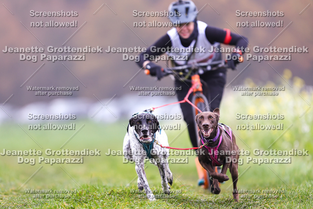 Dog Paparazzi - Visbeck 25 -93 | Dog Paparazzi Jeanette Grottendiek Fotografie & Videografie - Realisiert mit Pictrs.com