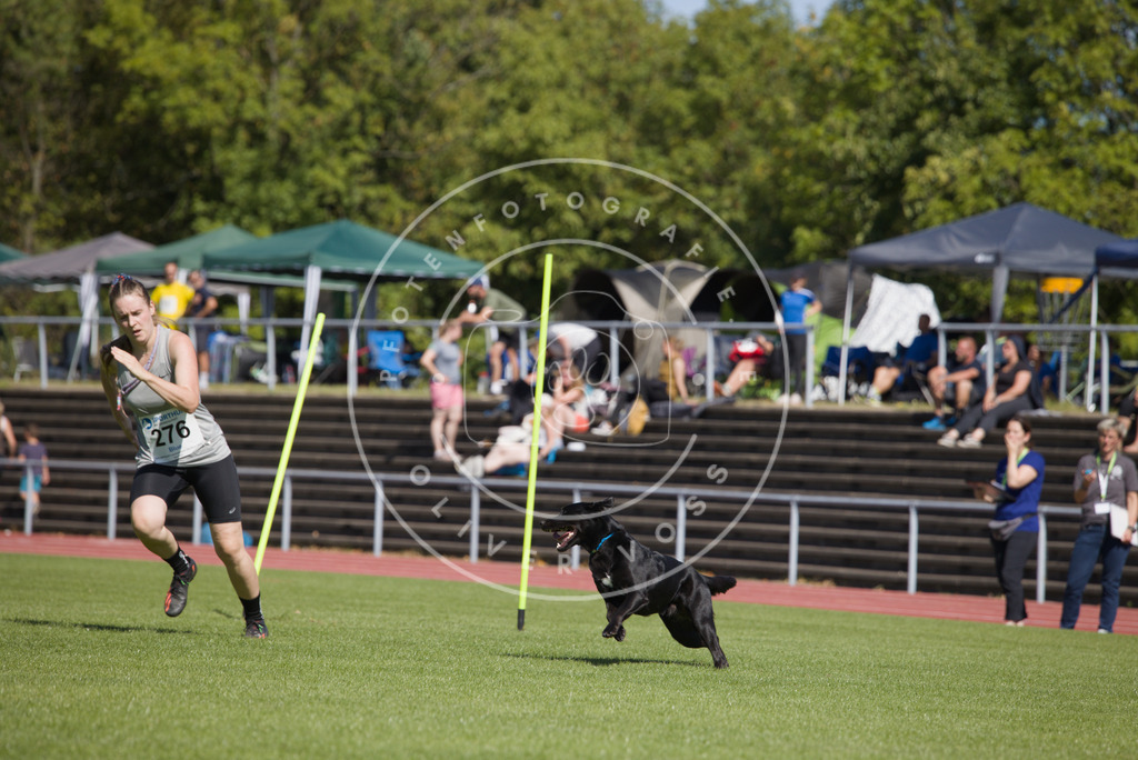 0L8A6748 | Hundefotografie, Tierfotograf, Pfotenfotografie, Fotoshooting Hund, Hunde Portrait, Hundesport, Hundeportraits, Heideshooting, Hunde, Sportfotograf, Hundefotograf, Turnierhundsport, THS,  - Realisiert mit Pictrs.com