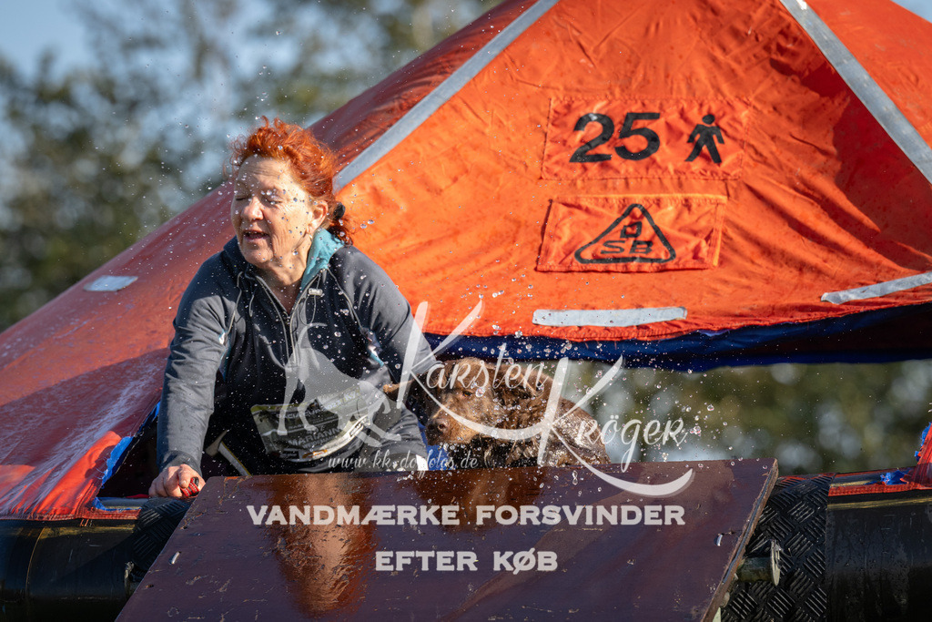 1456-90388 | kk-dogfotos