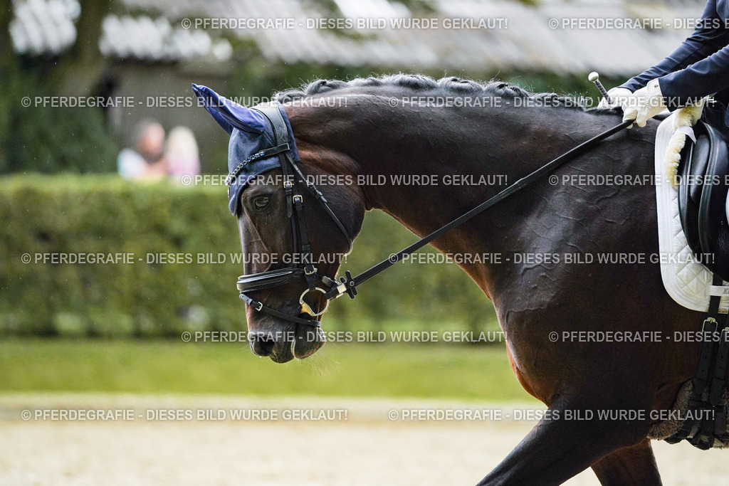 DSC00030 | Pferdegrafie