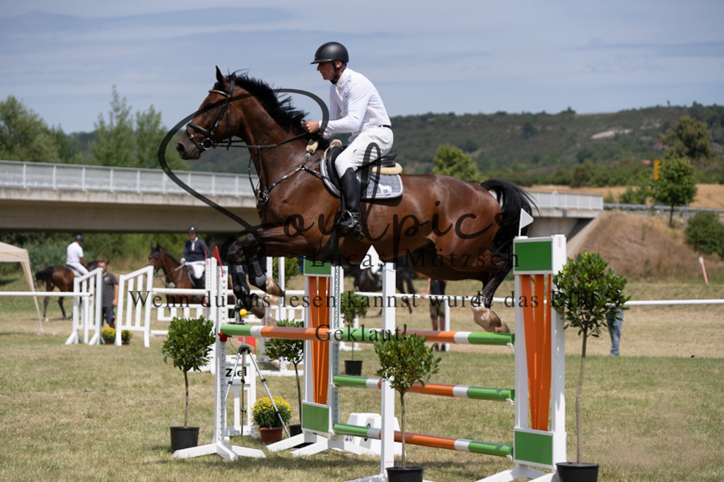 A7V01992 | Pferdefotograf