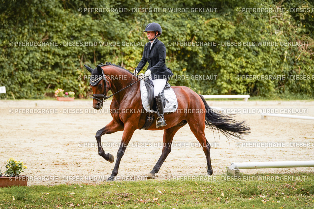 DSC09253 | Pferdegrafie