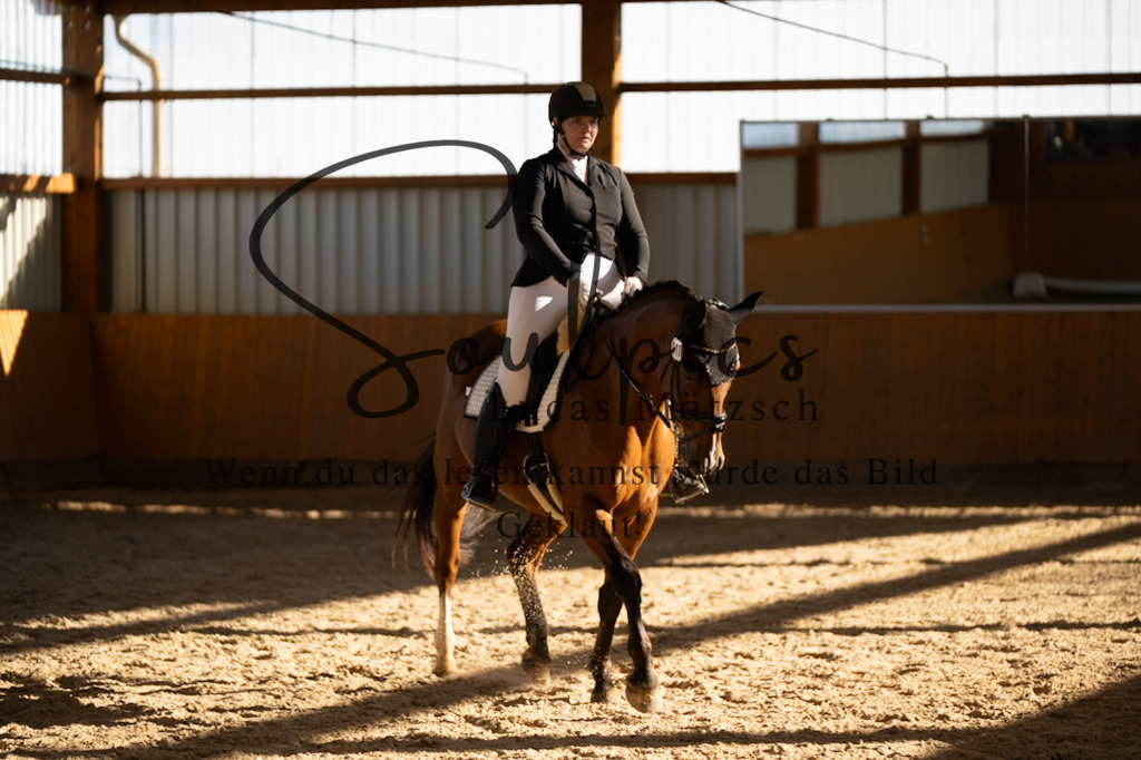 A7V01781 | Turnier/Reitfotograf