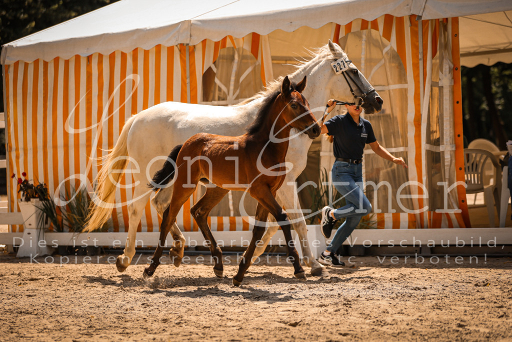 03.DoAB00047 | Leoni Ertmer Photography - Realisiert mit Pictrs.com