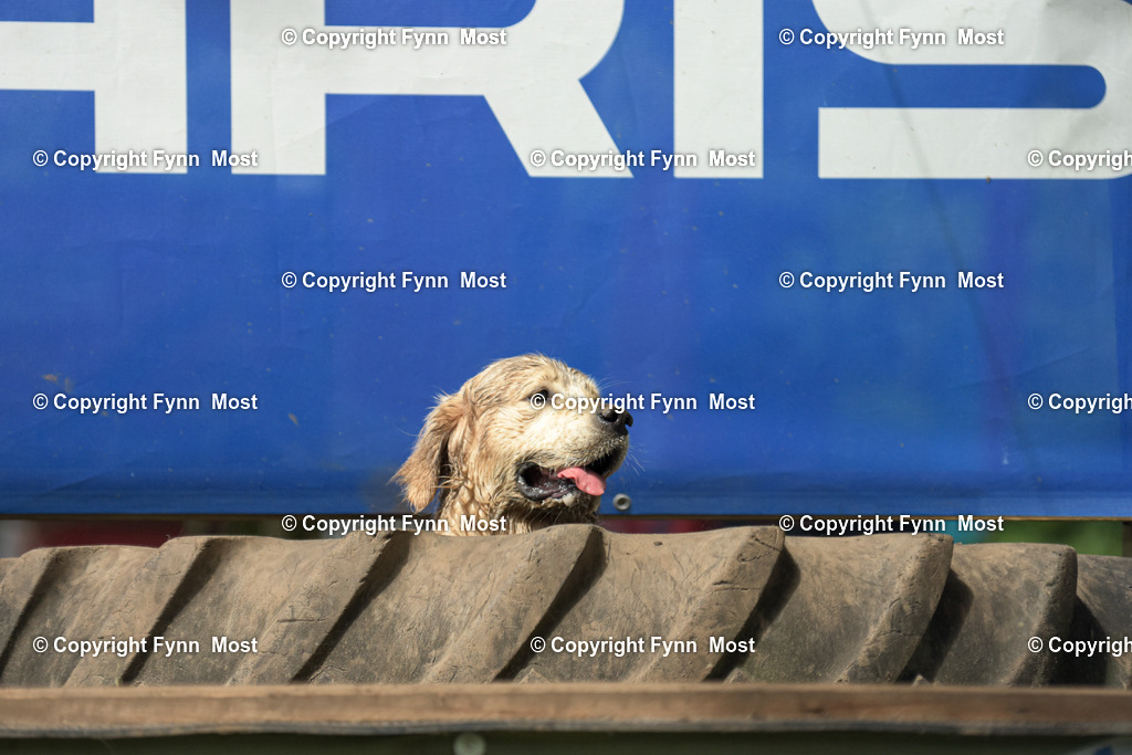 DSC_0015-3 | Hallo und herzlich Willkommen auf meiner Shop-Seite Fynn Most.

Ich wünsche Dir viel Spaß beim stöbern durch die Bilder, wenn Du Fragen hast oder Bilder vermisst, kannst du mir gerne eine Nachricht schreiben. - Realisiert mit Pictrs.com