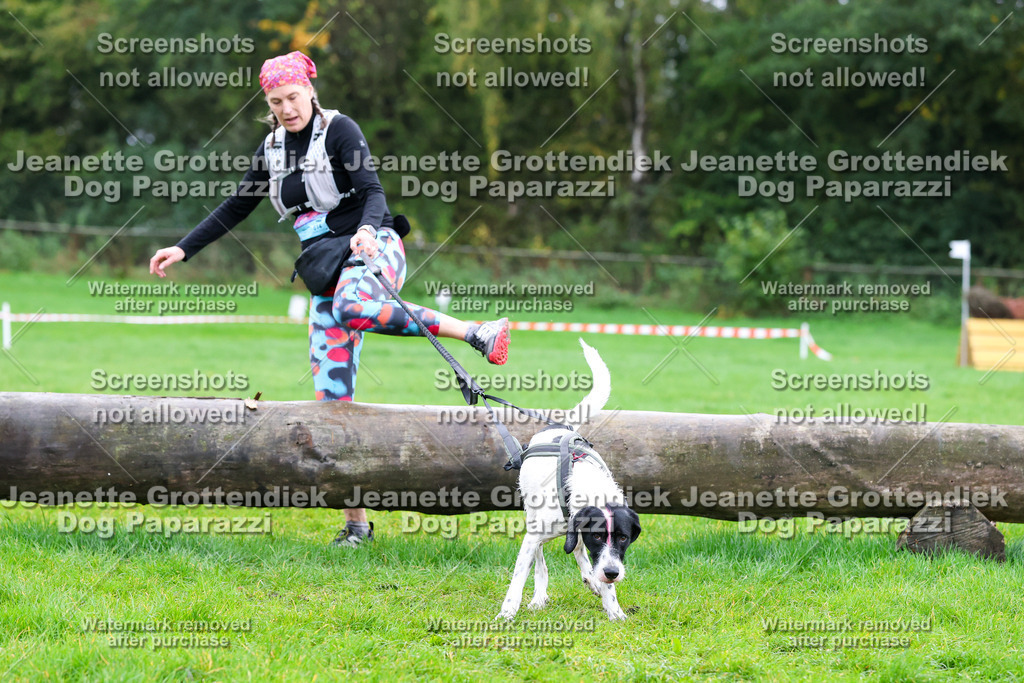 Dog Paparazzi -  SD1026-1074 | Dog Paparazzi Jeanette Grottendiek Fotografie & Videografie - Realisiert mit Pictrs.com