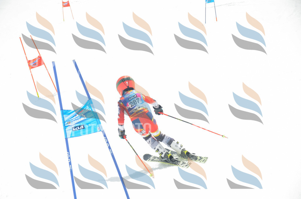 _ELE8047 | holidayphoto