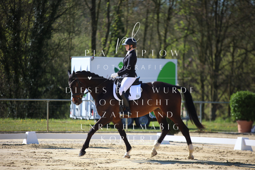 IMGT9405 | pl-fotografie