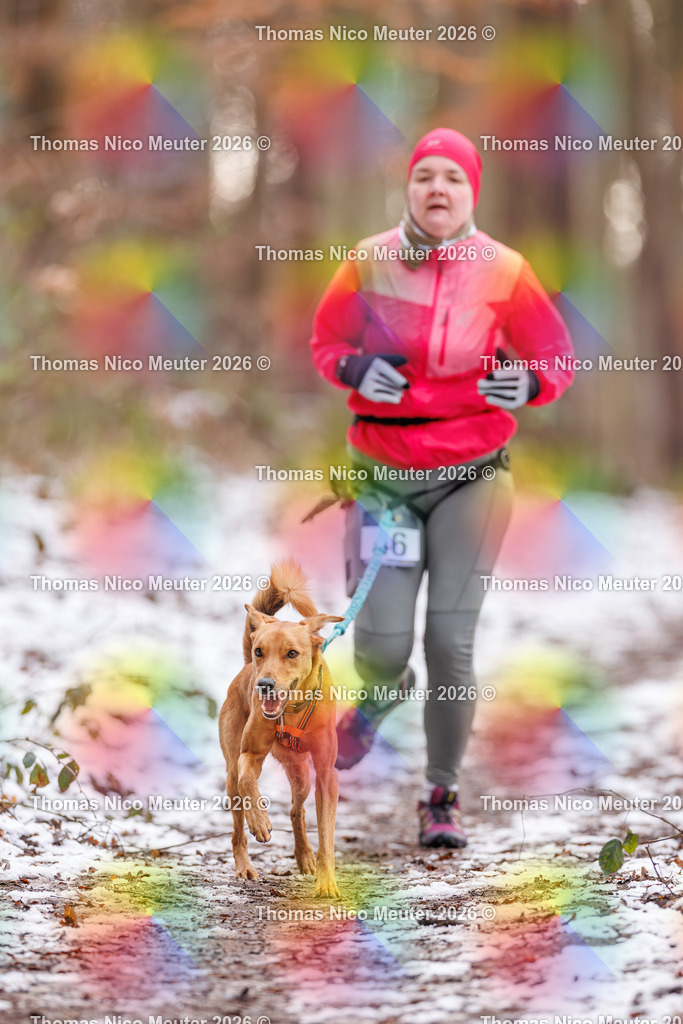 Thomas_Nico_Meuter(C)_223A8774 | Bild von Thomas Nico Meuter - Realisiert mit Pictrs.com