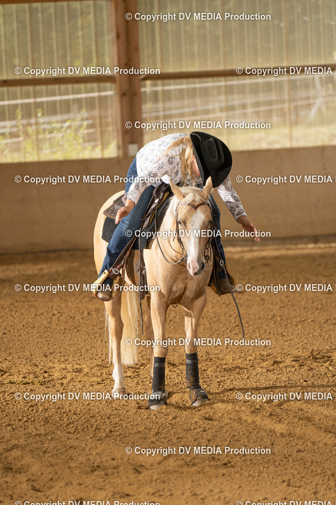 LAU01736 | dv-media-shop - Realisiert mit Pictrs.com