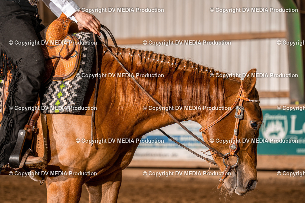 BAL00032 | dv-media-shop - Realisiert mit Pictrs.com