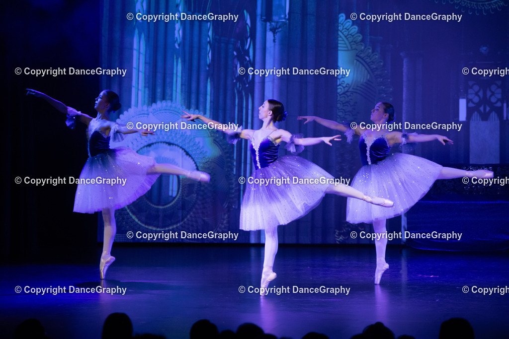 GPHY1548 | DanceGraphy - Realisiert mit Pictrs.com