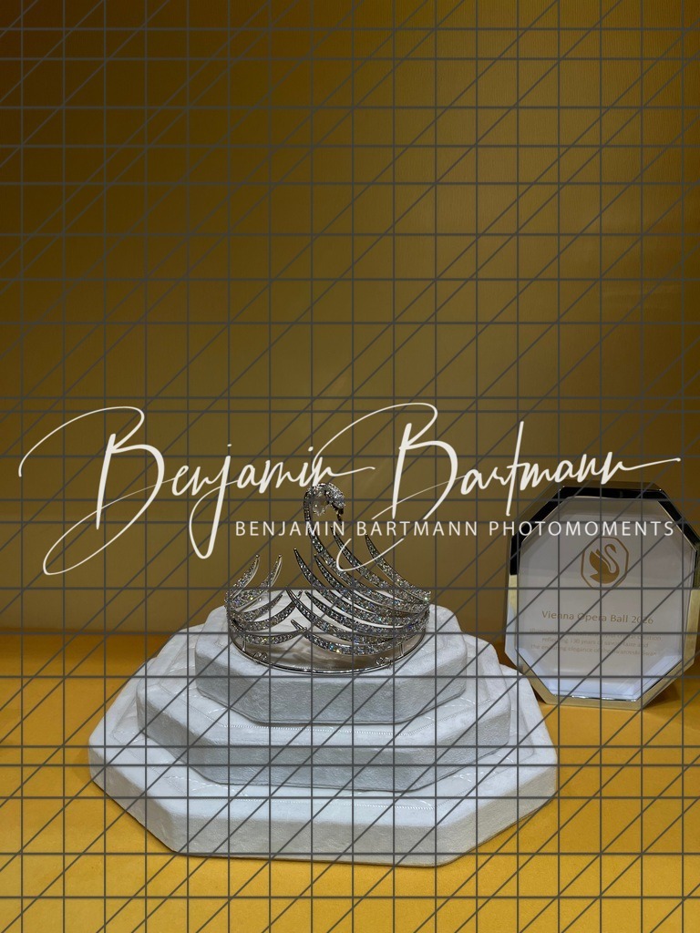 IMG_3071 | Benjamin Bartmann Photomoments