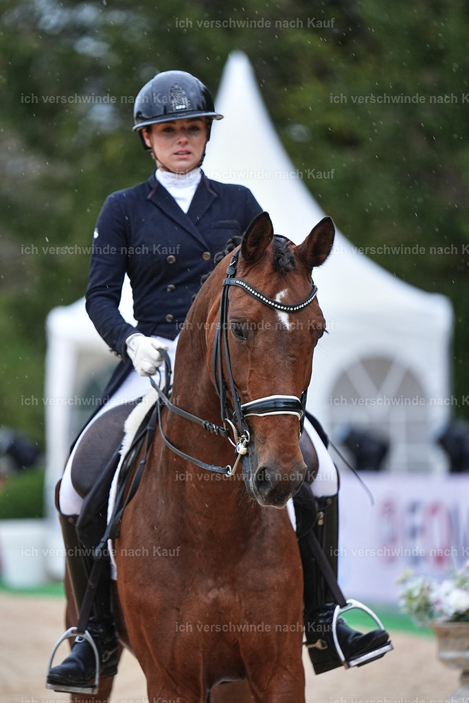 8_1-001-Klasse S_  -Marixx-4315 | working equitationturnier fotograf videograf stoibphotography marixx film working equitation deutschland reitsport turnierfotografie eventfotografie equestrian events