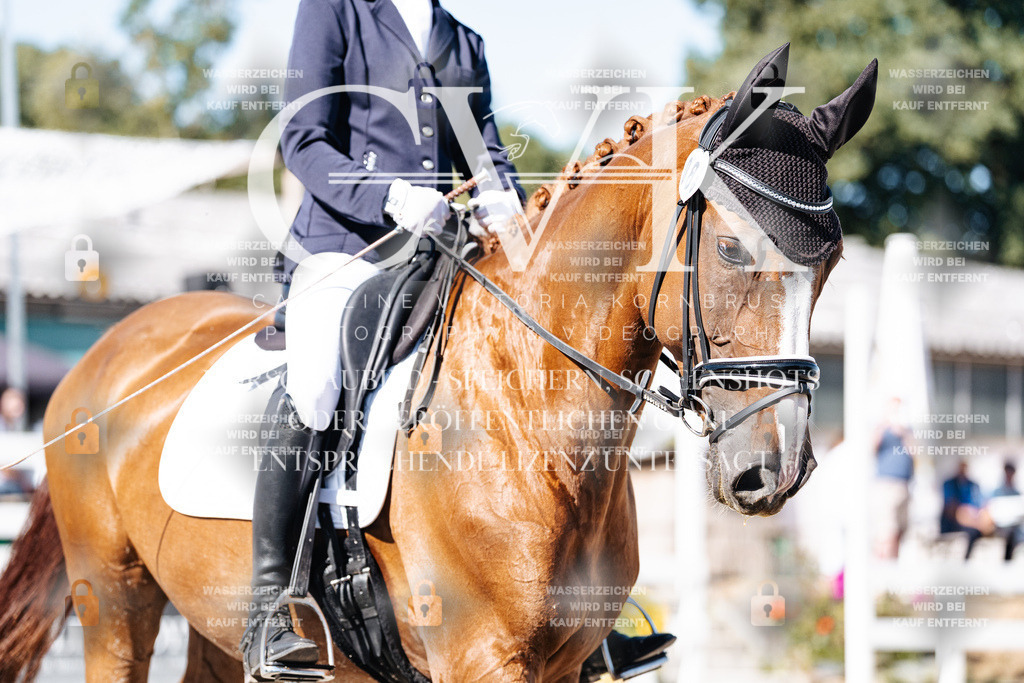 CK908420 | Turnierfotografie Pferdefotografie Trier Rheinland-Pfalz Pferdesport Reitsport Tierfotografie Sportfotografie Pferdevideo Pferdevideografie Equestrianvideography equestrianphotography  - Realisiert mit Pictrs.com
